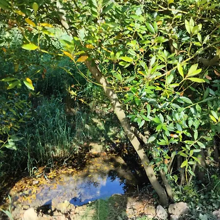 Maison Au Bord D'un Cours D'eau * Castels