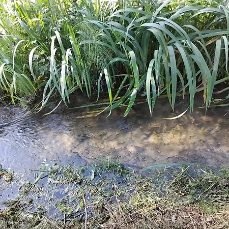 Casa vacanze Maison Au Bord D'un Cours D'eau *